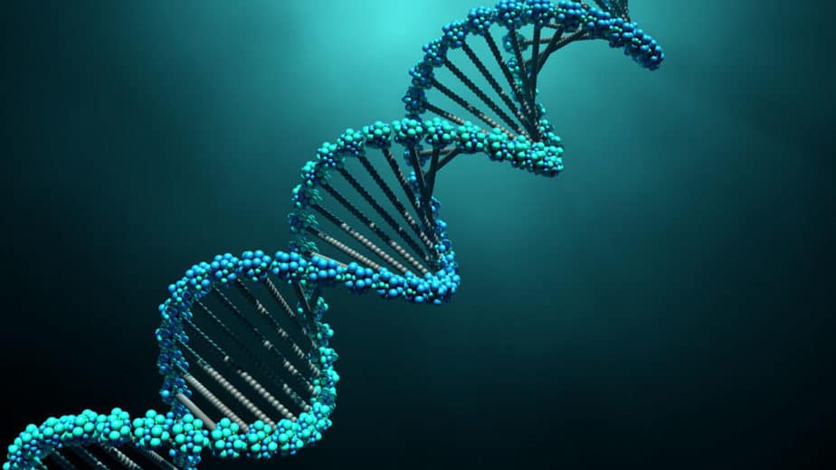 DNA_1280p-1024x576